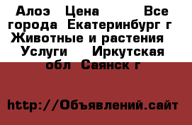 Алоэ › Цена ­ 150 - Все города, Екатеринбург г. Животные и растения » Услуги   . Иркутская обл.,Саянск г.